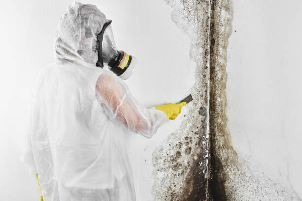Water Damage Restoration in Ulysses, KS