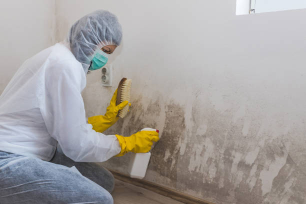Best Mold Testing  in Ulysses, KS