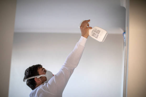 Best Toxic Mold Removal  in Ulysses, KS