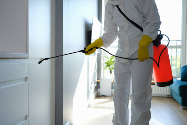 Best Mold Inspection  in Ulysses, KS