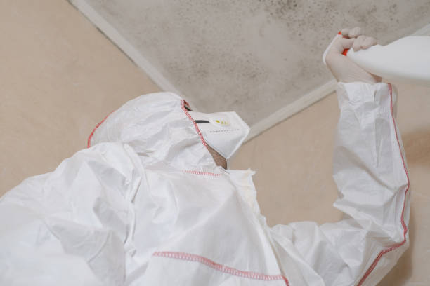 Best Professional Mold Removal  in Ulysses, KS