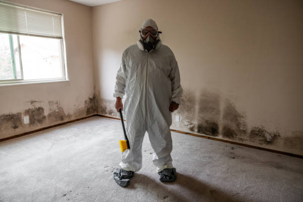 Best Local Mold Removal Service  in Ulysses, KS