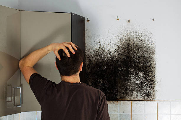 Best Home Mold Removal  in Ulysses, KS